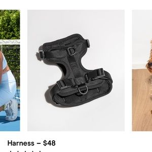 Black size small wild one harness